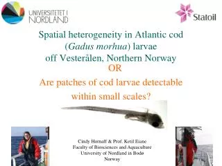 Spatial heterogeneity in Atlantic cod off Northern Norway