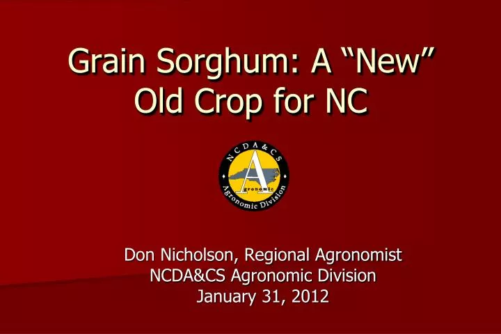 grain sorghum a new old crop for nc