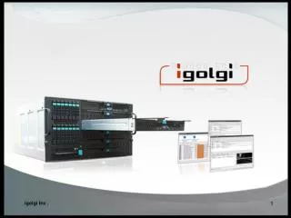 igolgi Inc .