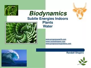 Biodynamics Subtle Energies Indoors Plants Water