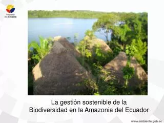 La gestión sostenible de la Biodiversidad en la Amazonia del Ecuador