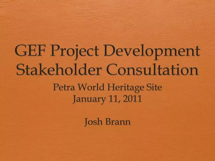 gef project development stakeholder consultation