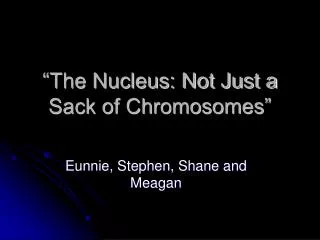 “The Nucleus: Not Just a Sack of Chromosomes”