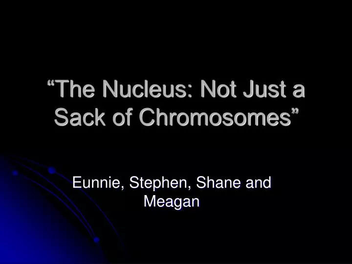 the nucleus not just a sack of chromosomes