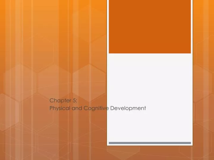 chapter 5 physical and cognitive development