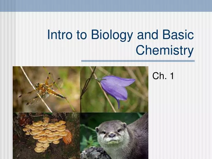 intro to biology and basic chemistry