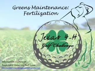 Greens Maintenance: Fertilization