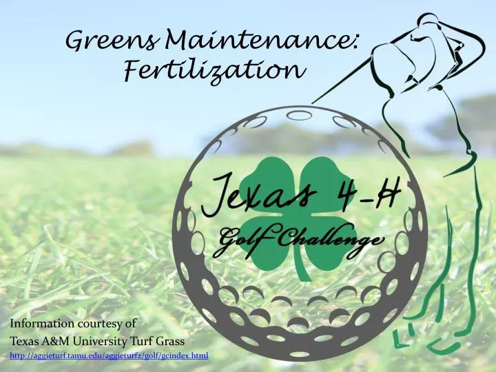 greens maintenance fertilization