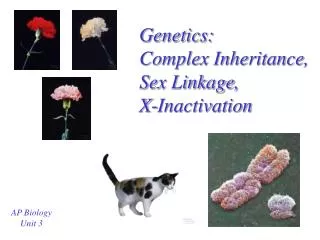 Genetics: Complex Inheritance, Sex Linkage, X-Inactivation