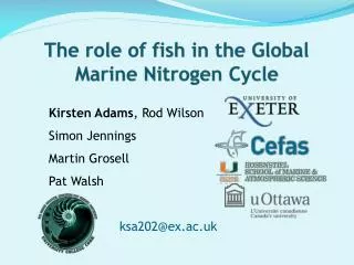 The role of fish in the Global Marine Nitrogen Cycle