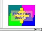 Forest Fires (Indofire)