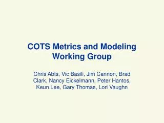 COTS Metrics and Modeling Working Group