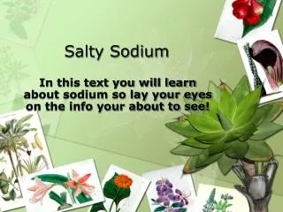 Salty Sodium