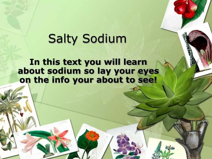 salty sodium