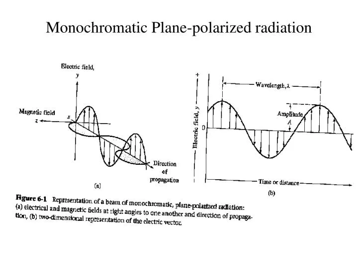 monochromatic plane polarized radiation