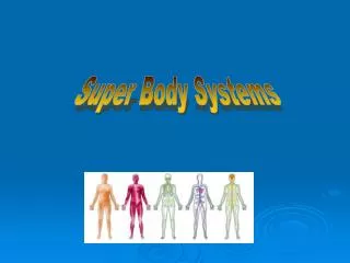 Super Body Systems