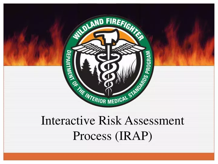 interactive risk assessment process irap