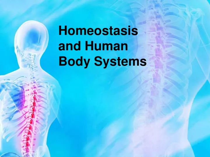 homeostasis and human body systems