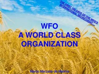 WFO A WORLD CLASS ORGANIZATION