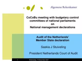Saskia J Stuiveling President Netherlands Court of Audit