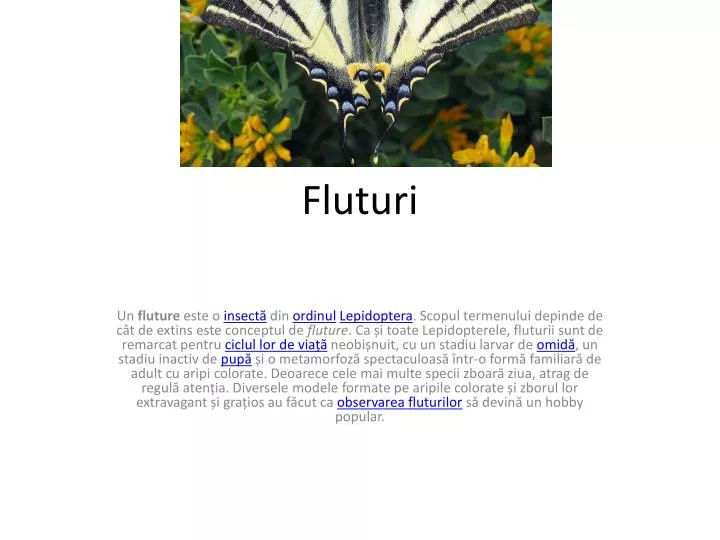 fluturi