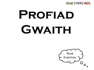 Profiad Gwaith