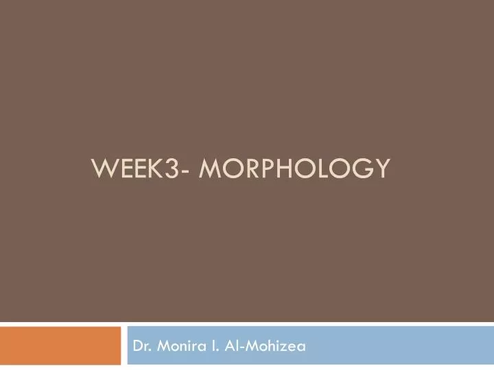 week3 morphology