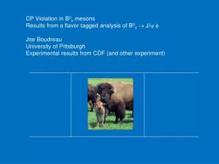CP Violation in B 0 s mesons Results from a flavor tagged analysis of B 0 s ? J/ y f