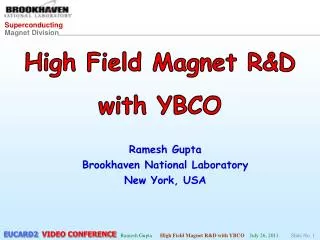 High Field Magnet R&amp;D with YBCO