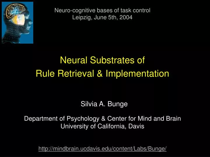 neural substrates of rule retrieval implementation