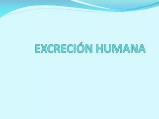 EXCRECIÓN HUMANA