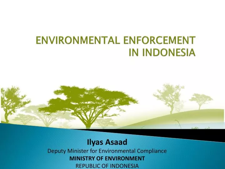 environmental enforcement in indonesia