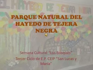 PARQUE NATURAL DEL HAYEDO DE TEJERA NEGRA
