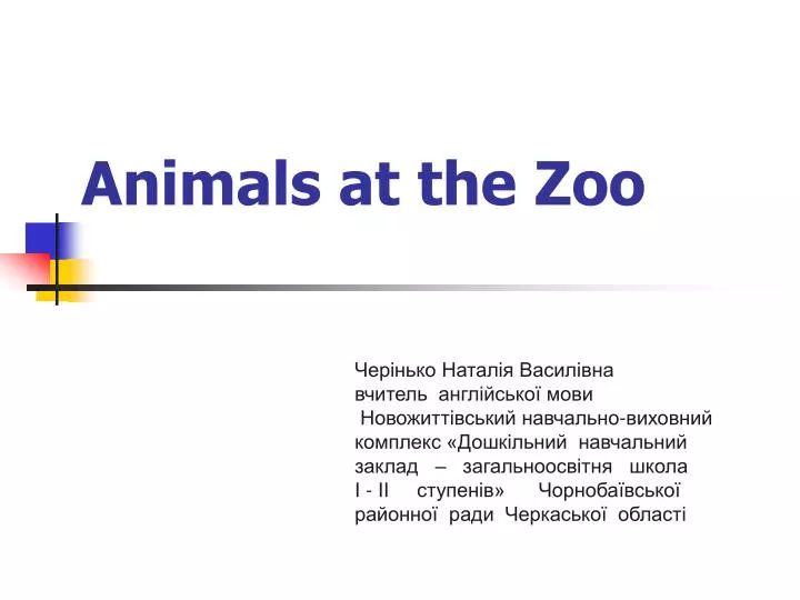 animals at the zoo