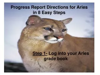 Progress Report Directions for Aries in 8 Easy Steps