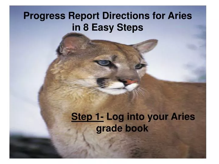 progress report directions for aries in 8 easy steps