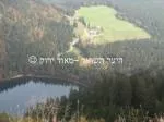 היער השחור –מאוד ירוק  - slide 1