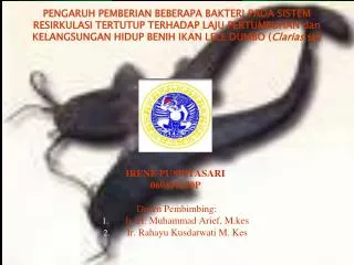 IRENE PUSPITASARI 060510220P  Dosen Pembimbing: Ir. H. Muhammad Arief, M.kes