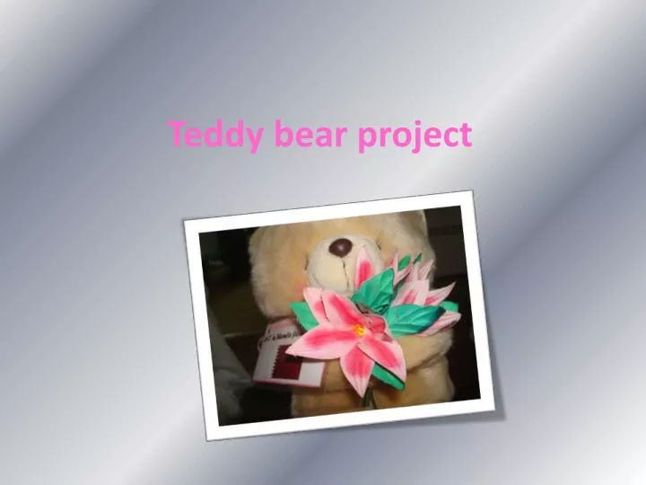 teddy bear project