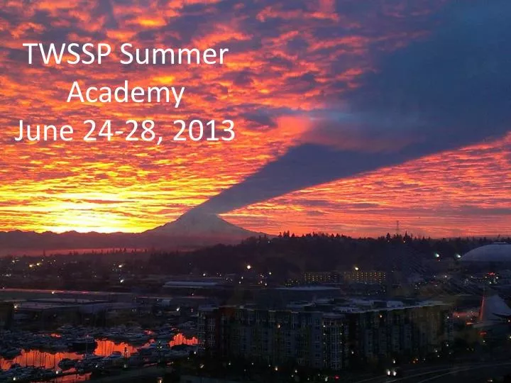 twssp summer academy june 24 28 2013