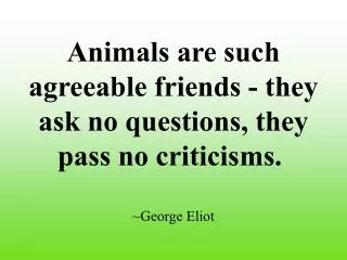 Animals are such agreeable friends - they ask no questions, they pass no criticisms. ~George Eliot