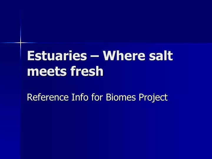 estuaries where salt meets fresh