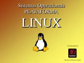 Sistemas Operacionais PLATAFORMA LINUX
