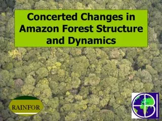 Concerted Changes in Amazon Forest Structure and Dynamics