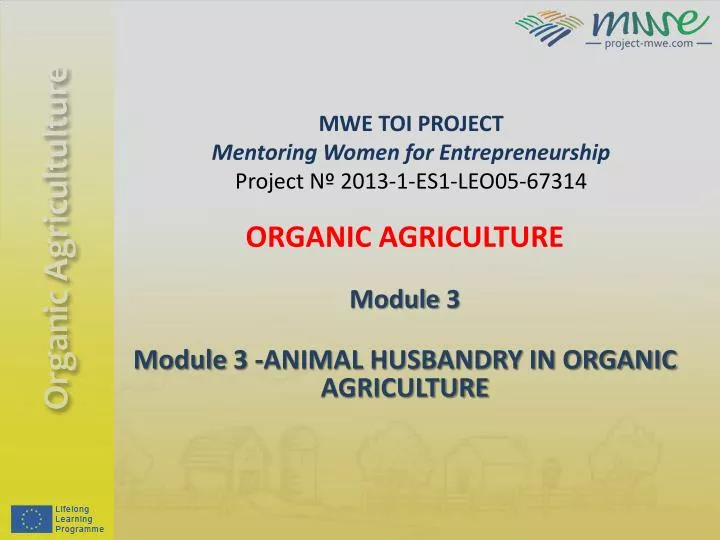 mwe toi project mentoring women for entrepreneurship project n 2013 1 es1 leo05 67314