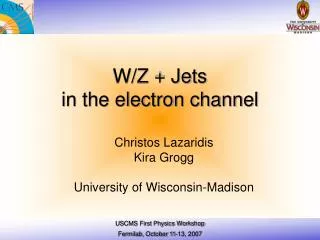 W/Z + Jets in the electron channel