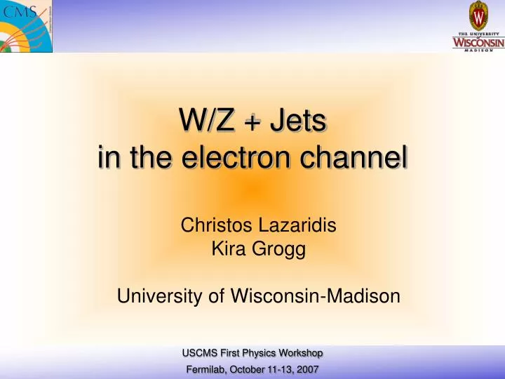 w z jets in the electron channel