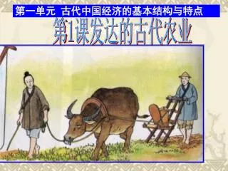 第一单元 古代中国经济的基本结构与特点