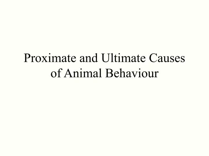 proximate and ultimate causes of animal behaviour