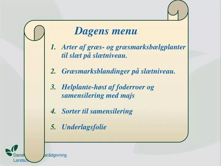 dagens menu